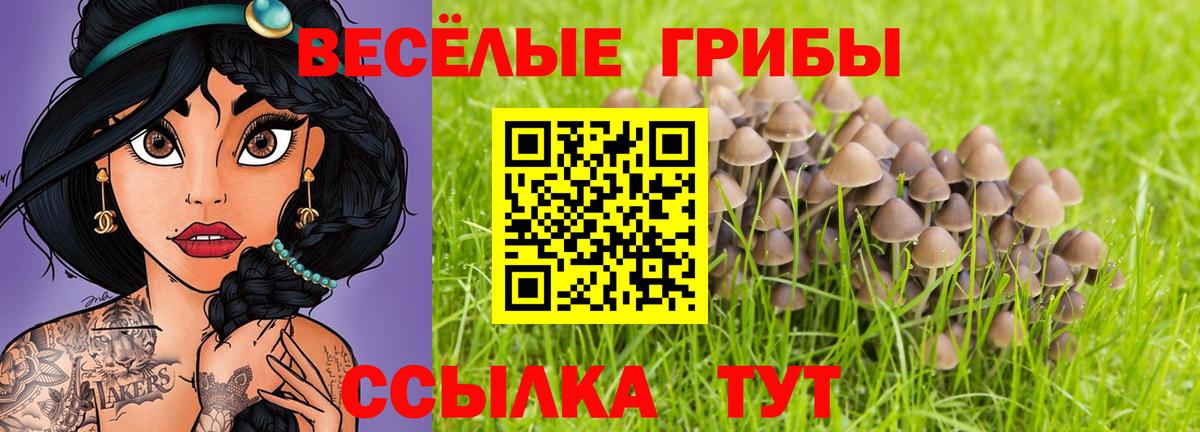 Элиста  Галлюциногенные грибы MAGIC MUSHROOMS  Вход с VPN 