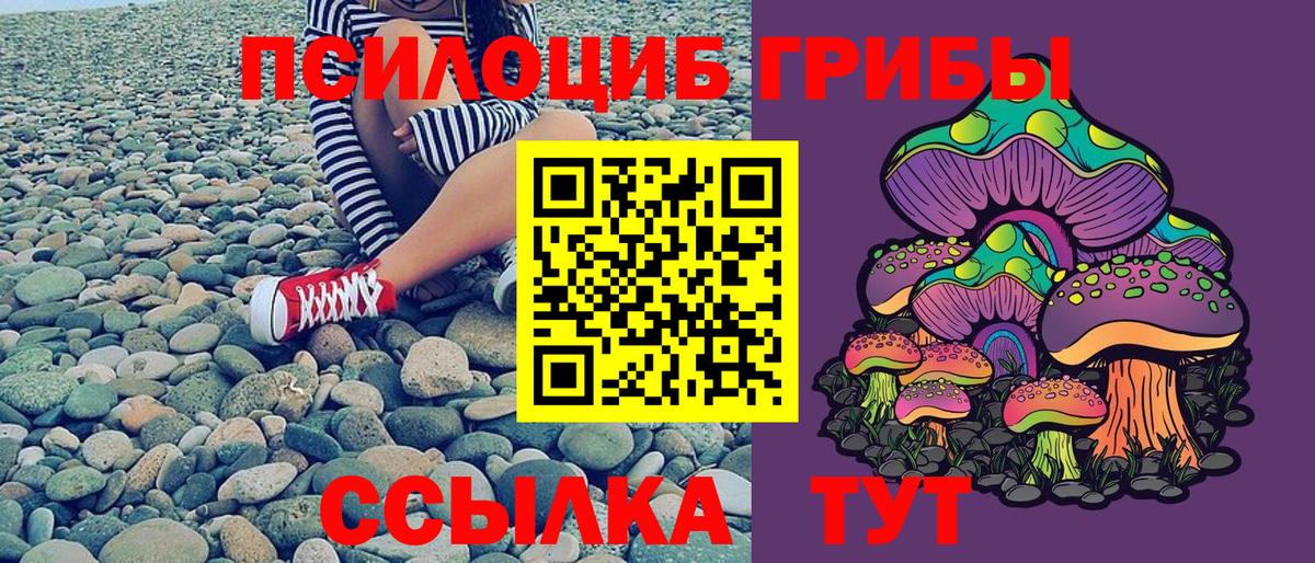 Галлюциногенные грибы Cubensis Элиста